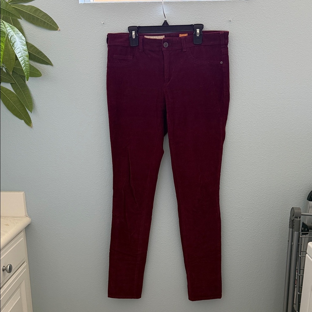 Pilcro Burgundy Corduroy Pants
